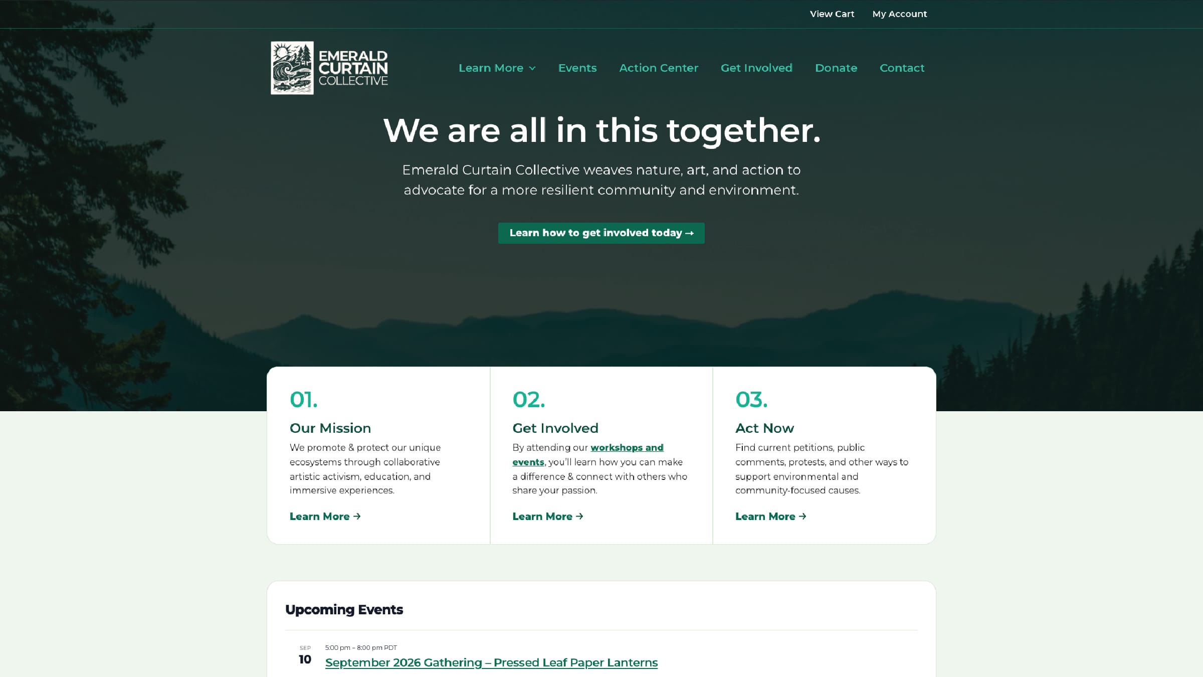 The Emerald Curtain Collective homepage, a dark forest photograph behind the heading We are all in this together.
