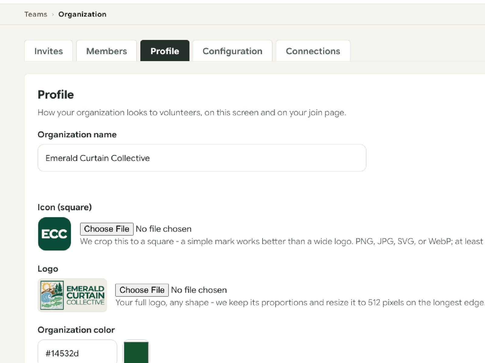 The organization profile settings screen, where a moderator sets the organization name, a square icon, a full logo, and a brand color.