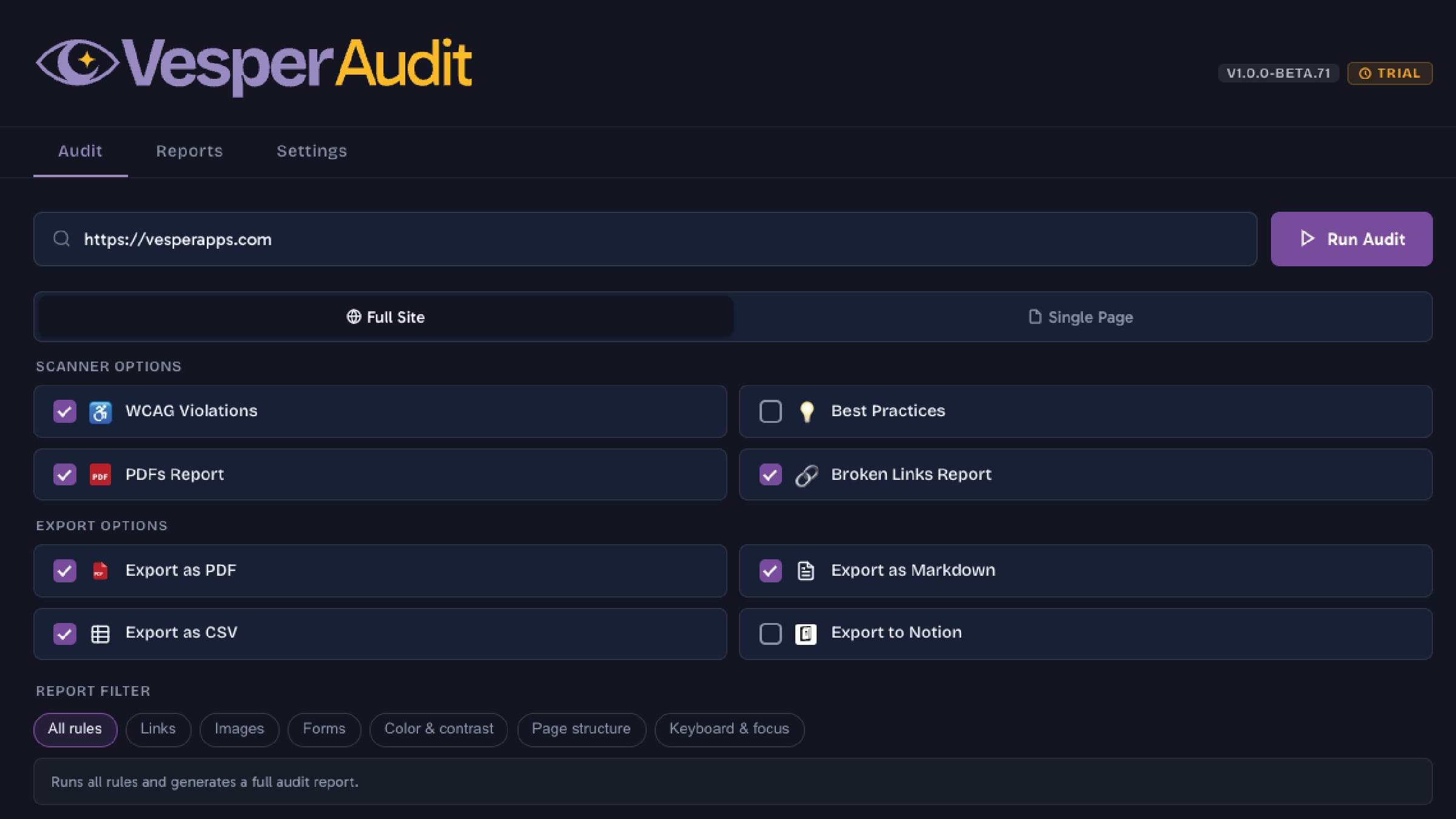 The audit setup screen: a URL field, a choice between full site and single page, scanner options for WCAG violations, PDFs, and broken links, export format checkboxes, and a rule filter.
