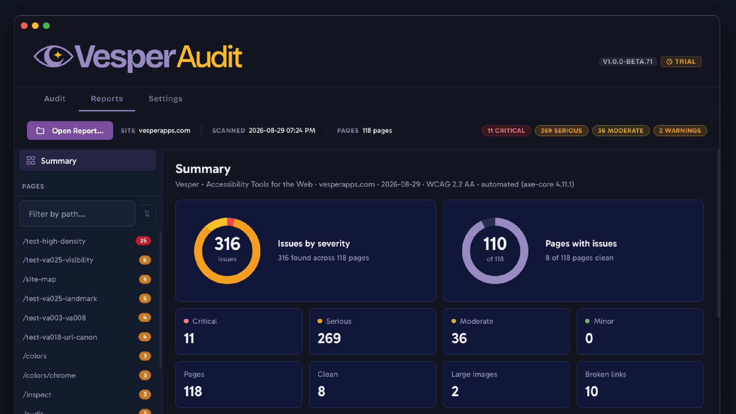 The Vesper Audit application window showing a finished accessibility report with a severity breakdown.